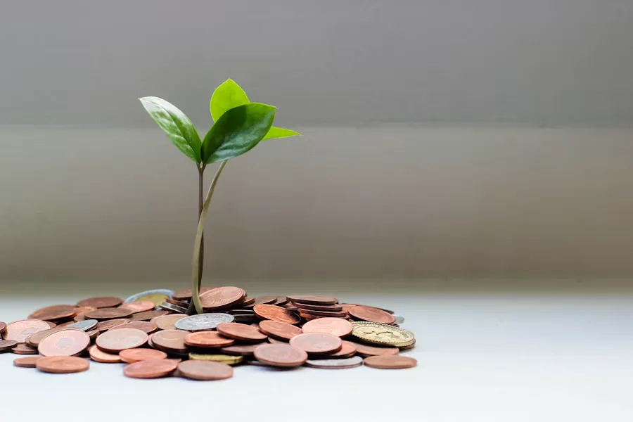 Financial planning documents related to rate-policy implications